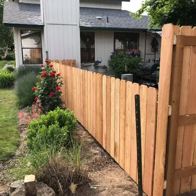 New dog-eared cedar privacy fence beside a garden bed with red roses